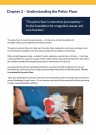 Compendium - Demistifying the Pelvic Floor thumbnail